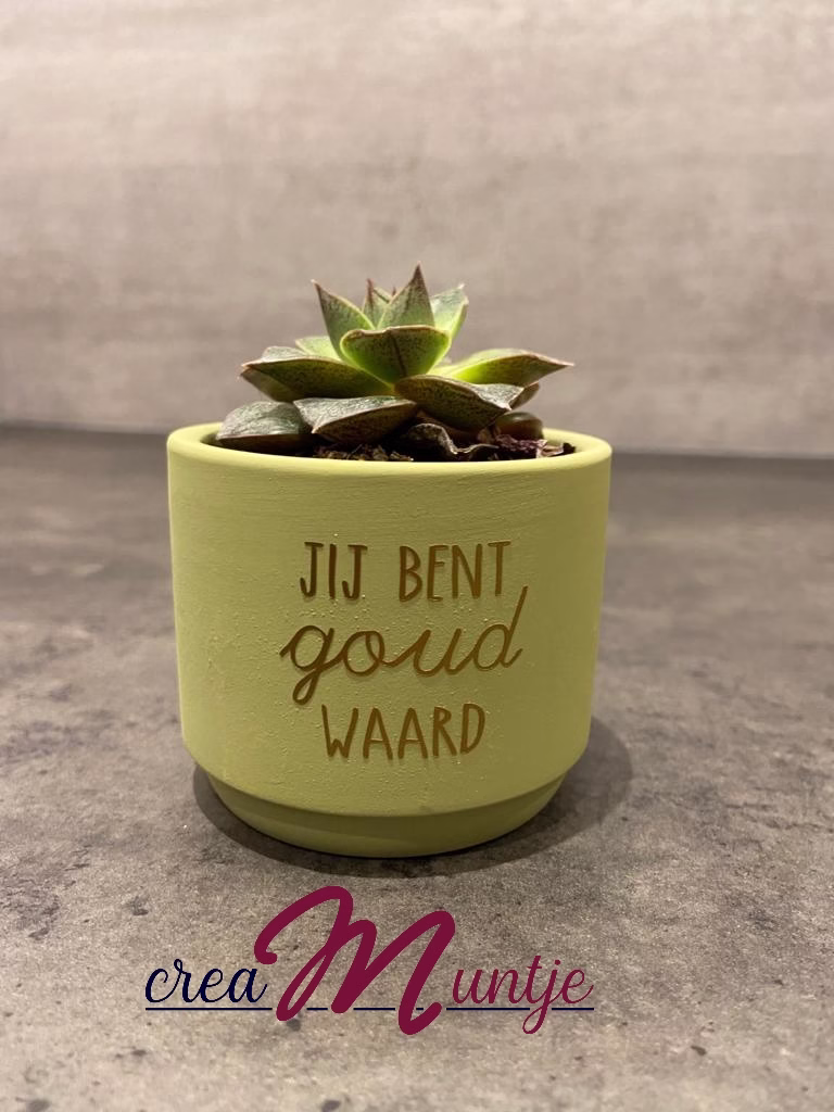 Bloempotje Zijdegroen - Afbeelding 2