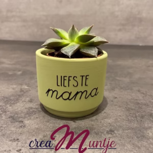 Bloempotje Zijdegroen